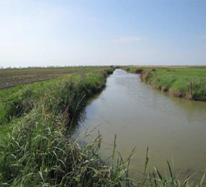 Marais poitevin, canal