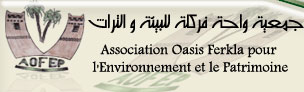 Association Oasis Ferkla pour l'Environnement et le Patrimoine - Tinjdad