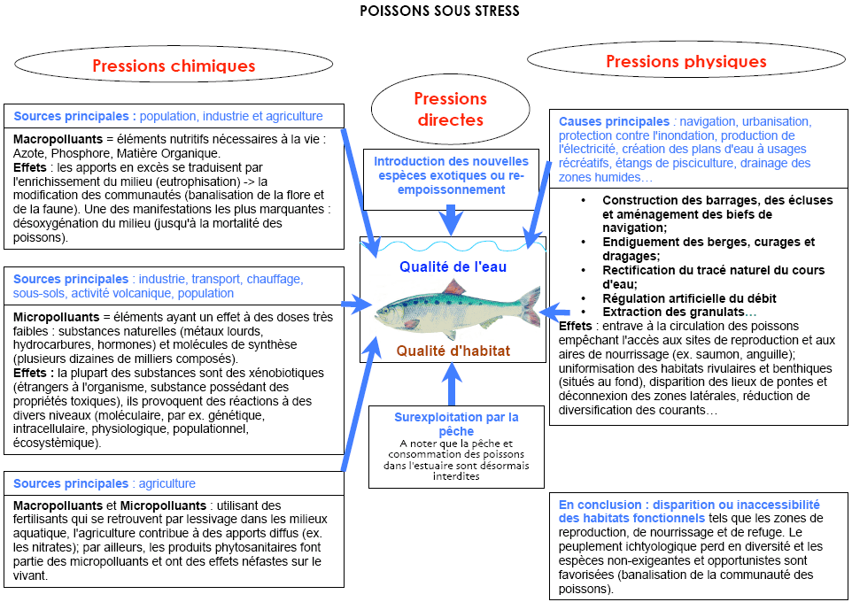 Poissons sous stress